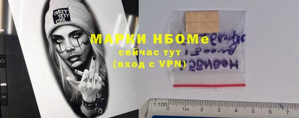 прущие грибы Белокуриха