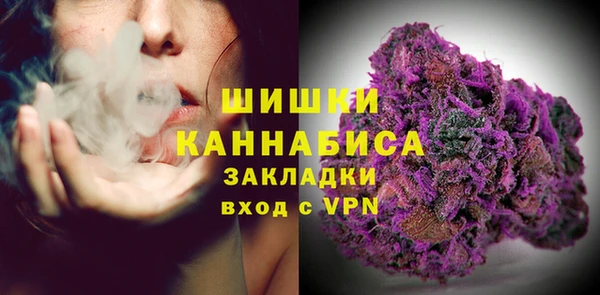 прущие грибы Белокуриха