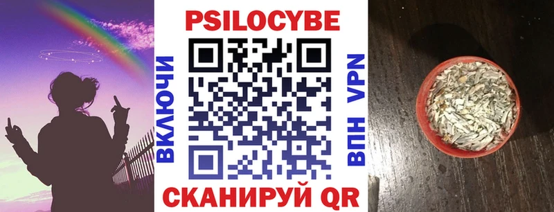 MEGA как зайти  Ветлуга  Псилоцибиновые грибы MAGIC MUSHROOMS 